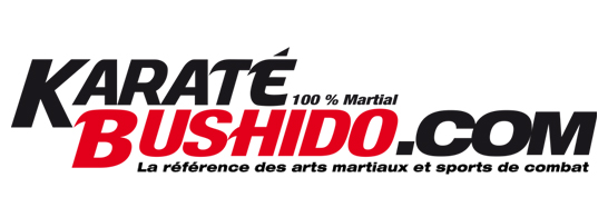 Eric Delannoy dans le magazine des Arts Martiaux KARATE BUSHIDO du mois de Janvier 2014